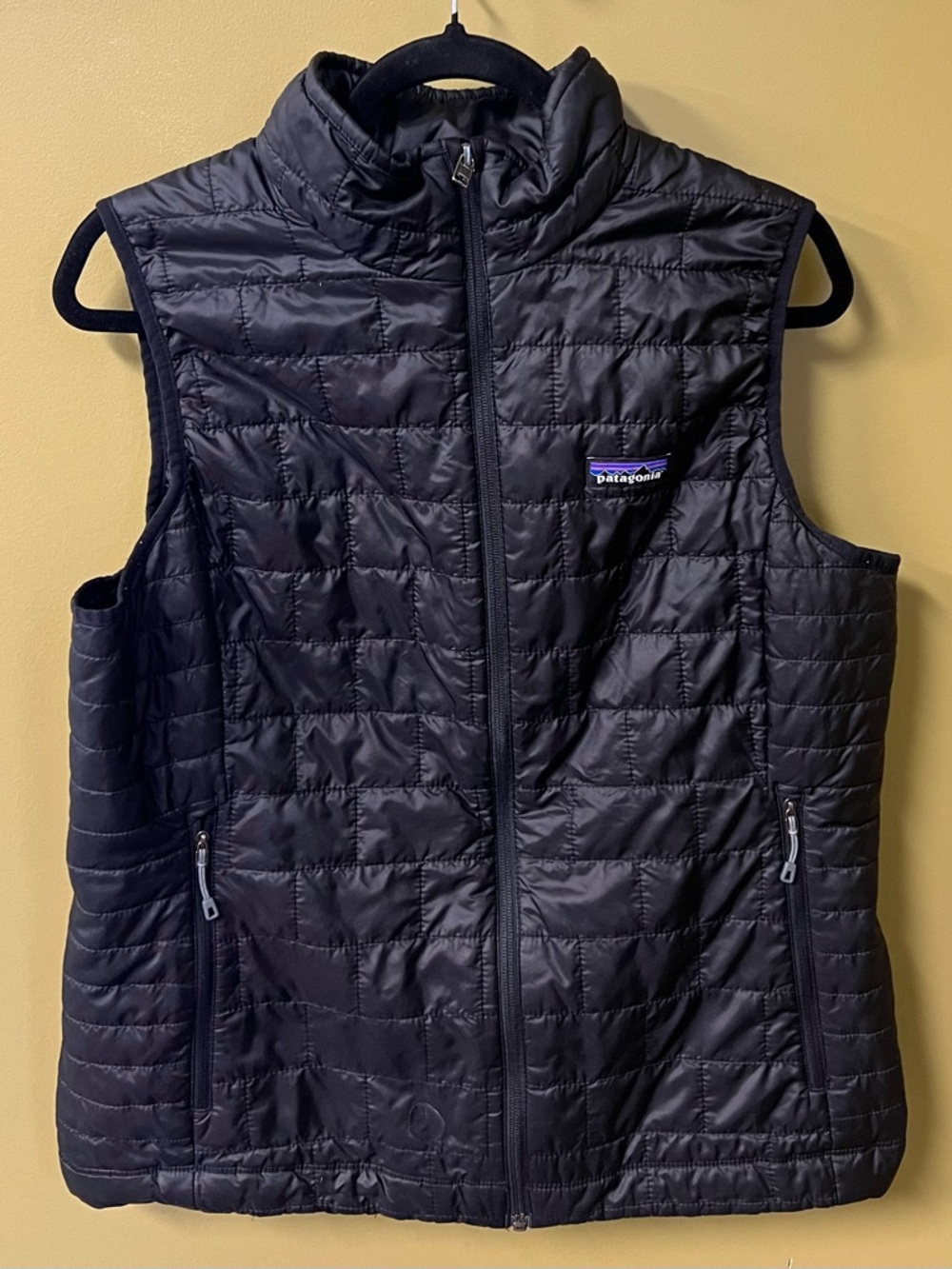 Patagonia